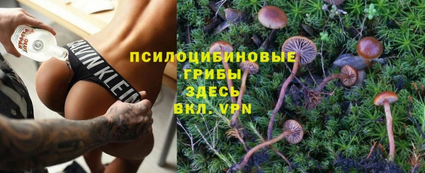 гидропоника Гусь-Хрустальный